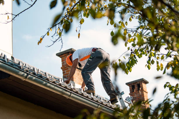 Best Metal Roofing Contractor  in North Fort Lewis, WA