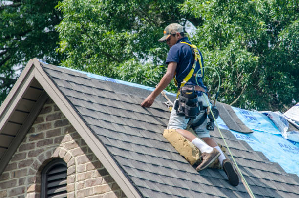 Best Roof Repair Services  in North Fort Lewis, WA